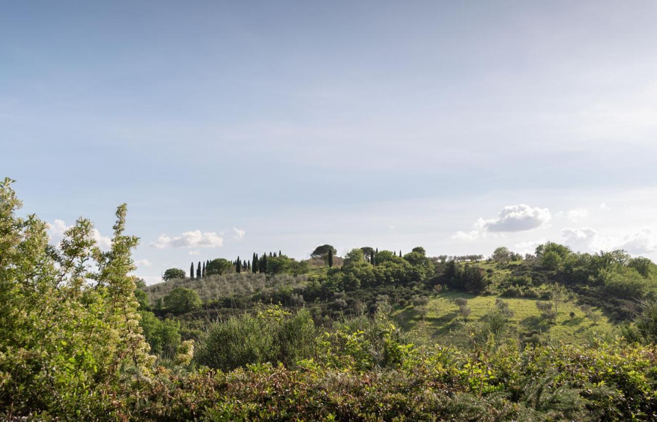Residenza Il Falchetto Assisi Dış mekan fotoğraf